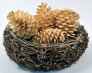 Bleached Pinecones