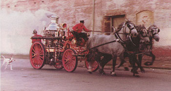 Dalmatian dog and Fire Truck