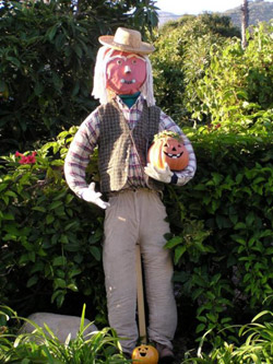 ScareCrow