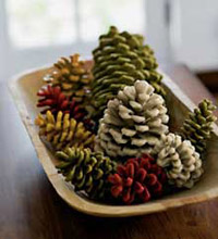 Scented Pine Cones