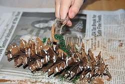 Spiced Pine Cones