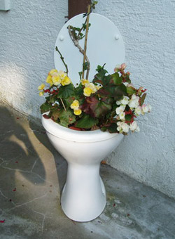 Toilet Flowers