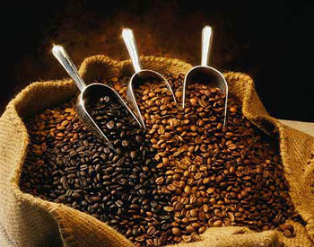 Coffee Beans