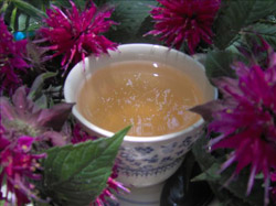 Bee Balm Tea