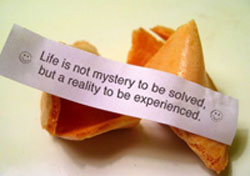 Life is not mystery to be sloved but a reality to be experienced