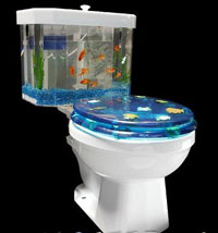 Fish Toilet