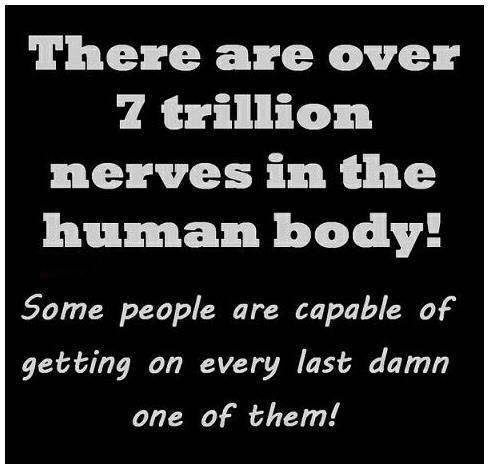 7 Trillion Nerves