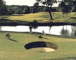 Golf Cup