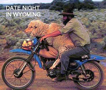 Dating In Wyoming