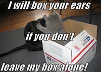 Box your ears 