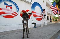 Democrat Mascot - The Donkey