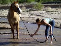 You Can Lead A Horse To Water, But You Can't Make Him Drink 
