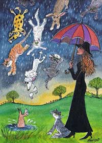 Raining cats and dogs 