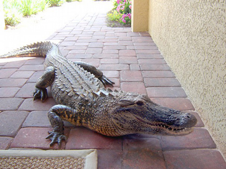 Florida