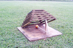 Try to catch the rabbit