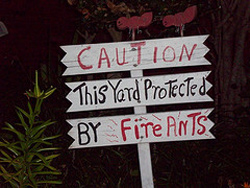 fireants