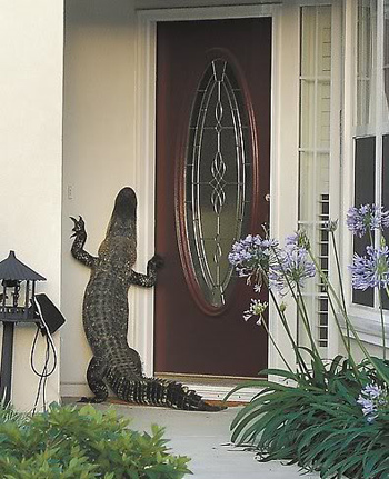 Florida