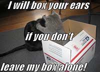 Box your ears 