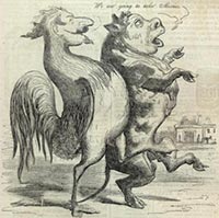 Cock & Bull Story