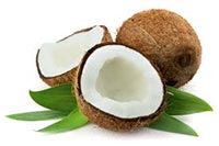 Coconut