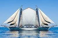 In the doldrums 
