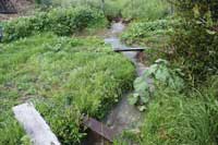 Lord willing and the creek don't rise