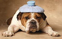 Under the weather